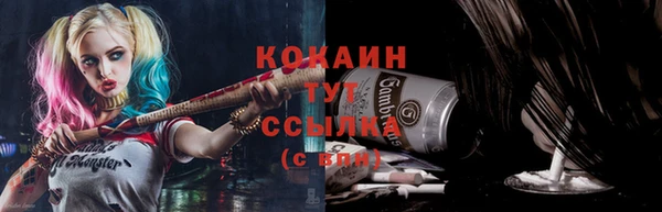 соль ск Белокуриха