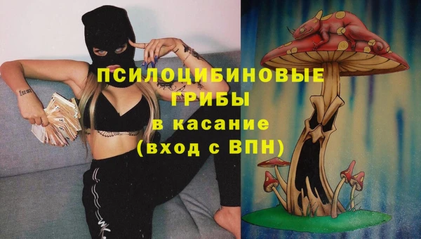 соль ск Белокуриха