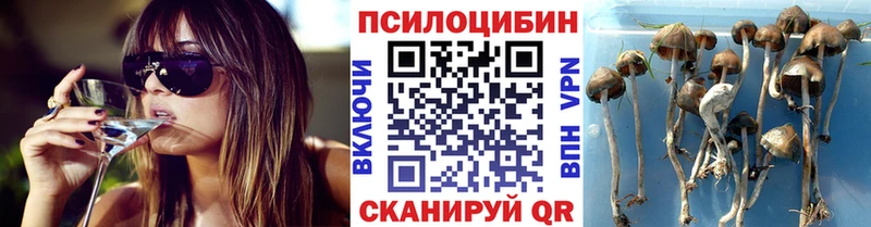 Псилоцибиновые грибы GOLDEN TEACHER  Новое Девяткино 